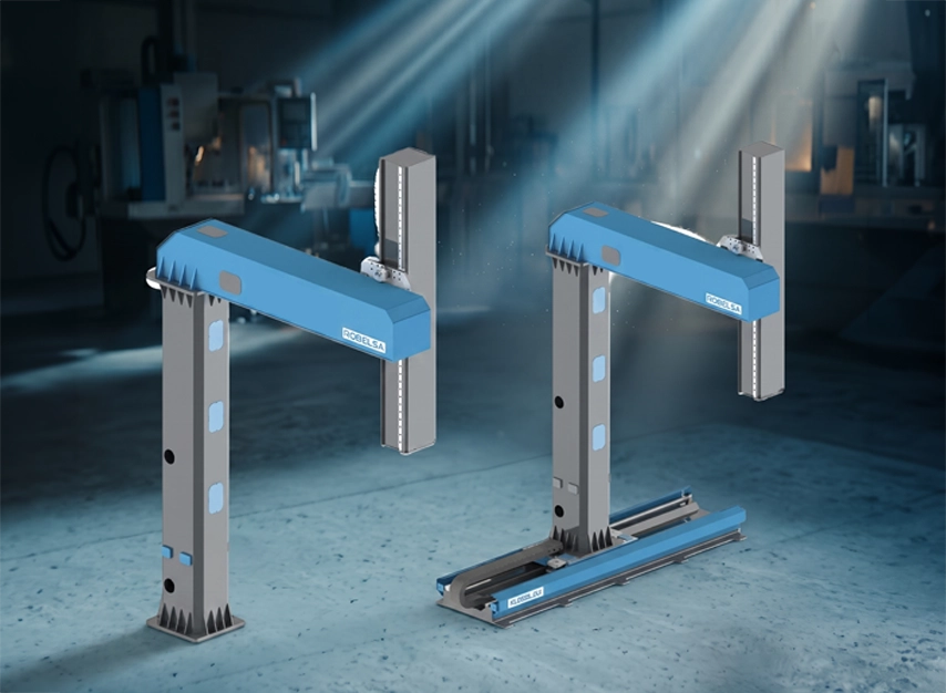 Robelsa Robotik Gantry